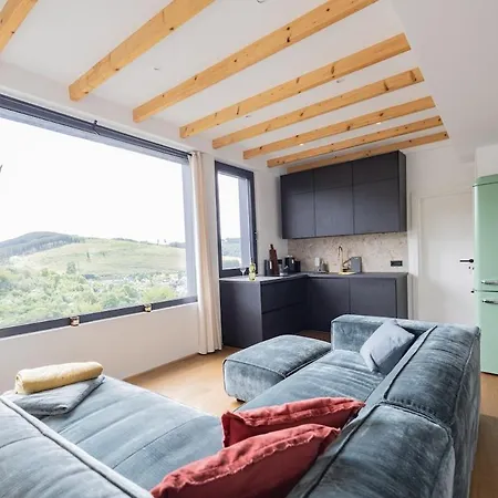 Moderne Atelierwohnung, Blick Auf Und Skigebiet Lejlighed
