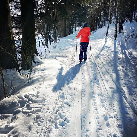Apartament Moderne Atelierwohnung, Blick Auf Und Skigebiet Winterberg