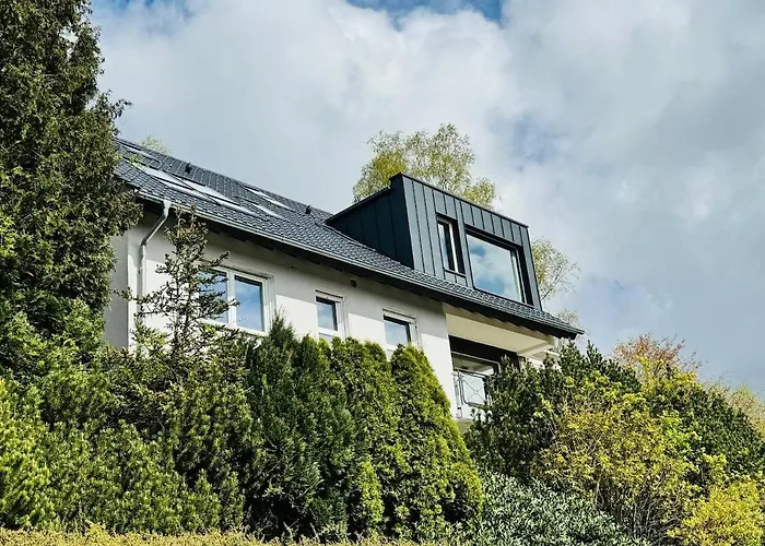 Apartamento Moderne Atelierwohnung, Blick Auf Und Skigebiet Winterberg