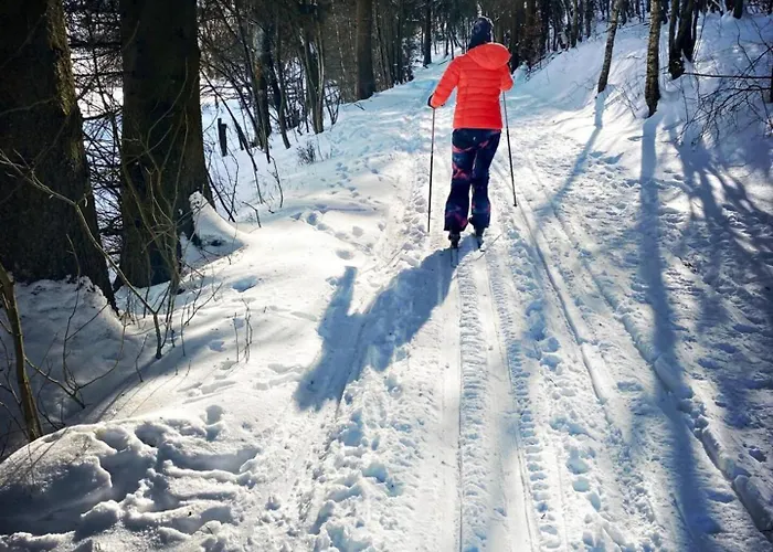 Lägenhet Moderne Atelierwohnung, Blick Auf Und Skigebiet Winterberg